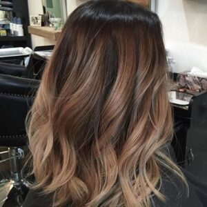 bronde sombre style