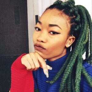 jumbo yarn braids