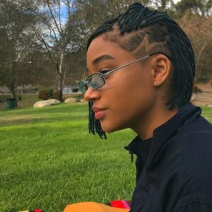micro braids bob
