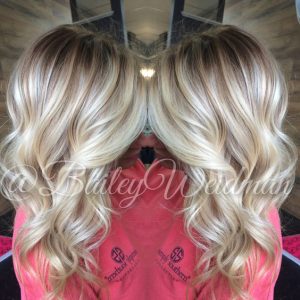 shadow root melting colors