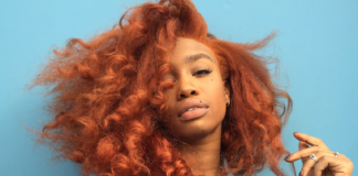 30 Best Hair Colors for Dark Skin Best Hair Colors For Dark Skin Tones