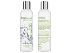 Moroccan Argan Oil Shampoo and Conditioner, SLS Sulfate Free