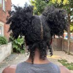 Curly Puffs