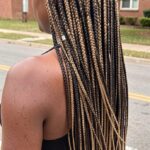 Highlighted Crochet Box Braid