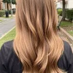 Super Dark Ash Brwon Hair