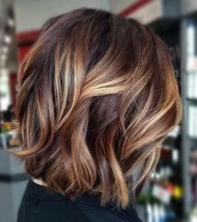 Short Brown Hair with Highlights